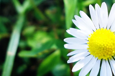 Armenia Gyumri Storm iPhone Panoramic Wallpapers Download