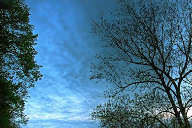 Money Through Blogging: Free Large Backgrounds Desktop Vertical ...