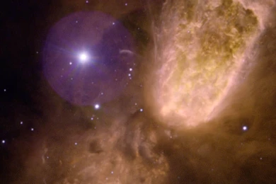 Wallpapers Hd Portrait 2015