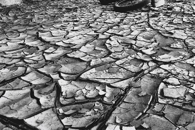 Wallpapers Wednesday ~ Photo Contest Countdown