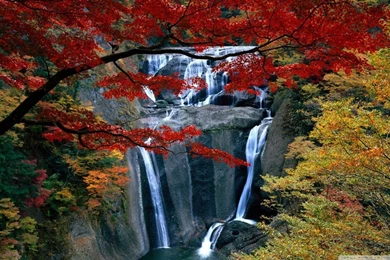 Waterfall, Autumn HD Desktop Wallpapers : High Definition ...