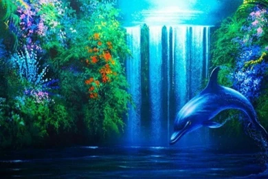 Download Dolphin The Free Waterfall Wallpapers 1024x768