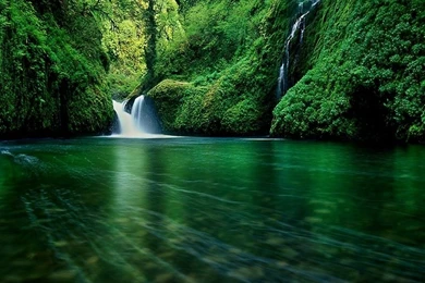 Forest Waterfall Wallpapers