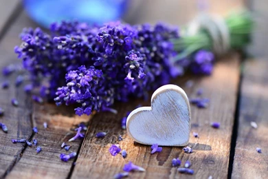 Bouquet, Lavender, Purple, Heart, Photo, Wooden, Buds, Hd, Wallpapers