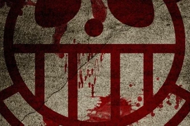 iPhone 5   Anime/One Piece   Wallpapers ID: 528779