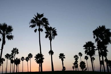 Los Angeles Wallpapers, Desktop Wallpapers » GoodWP.com