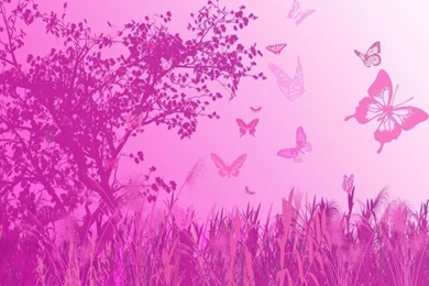 Top Pink Butterfly Desktop Wallpaper Images For Pinterest