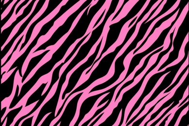 Download Pink Zebra Stripes Image Wallpapers 1022x747