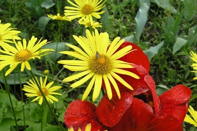 Free 1024X768 Wallpapers.