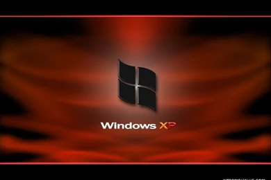 Computer   Windows 1024x768 High Resolution Wallpapers