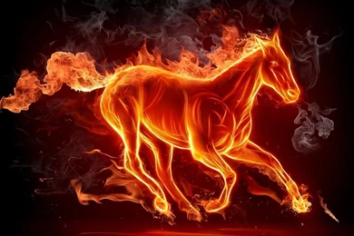 WallpaperFX – A Great Source For Wallpapers   Daily Inspiration