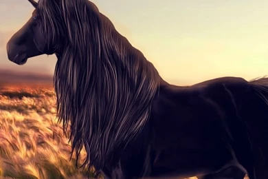 Download Wallpapers 750x1334 Horse, Unicorn, Golf, Art, Grass, Wind ...