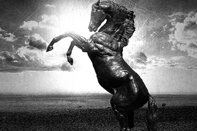 Download Wallpapers 640x960 Water, Black, White, Horse, Abstraction ...