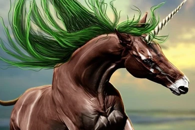 Horse iPhone 5s Wallpapers