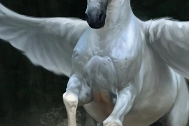 Download Wallpapers 640x1136 Pegasus, Horse, Wings iPhone 5S, 5C, 5 ...