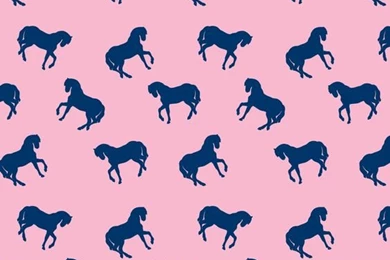 Horse Pink Iphone Wallpapers
