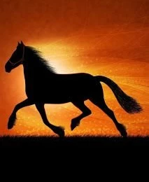 Black Horse Wallpapers For iPhone 4