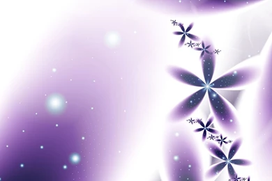 Snow Orchids  wallpaper  By Cutegem On DeviantArt