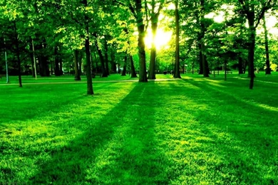 Best Nature Wallpapers For Laptop