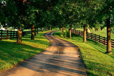 Summer Country Road Desktop wallpapers