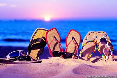 Summer Fun Wallpapers   Crazy Frankenstein