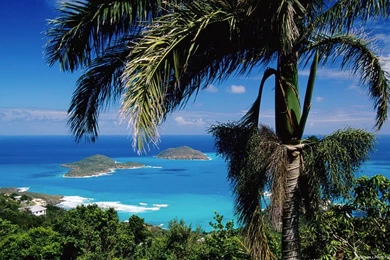 Summer Hd Wallpapers   32253