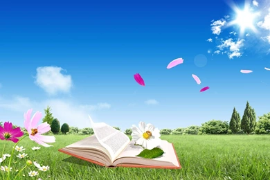 Nice Wallpapers For Desktop