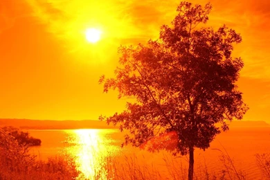 Summer Rain Desktop Wallpaper, Summer Rain Pictures