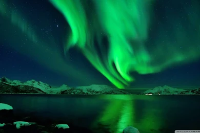 Wallpapers Amazing Boreal Aurora Green 1920 X 1080 Full Hd 1920 X ...