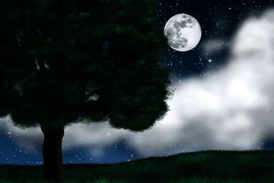 Night Backgrounds By ZpanSven On DeviantArt