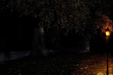 Premade Backgrounds :: A Night In The Park By Selunia On DeviantArt