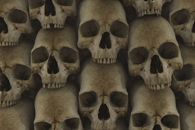 Skulls Wallpapers   102013