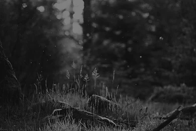 Iphone 6 Plus Hd Wallpapers Gold Black