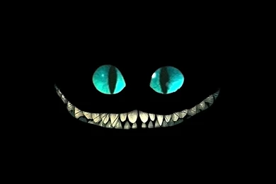 Cheshire Cat HD Wallpaper, Cheshire Cat Photos