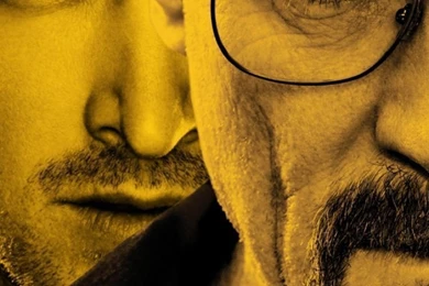 Download Wallpapers 750x1334 Breaking Bad, Actors, Face, Walter ...
