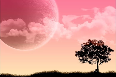 Hd 3d Pink Wallpapers