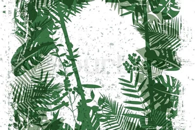 Leaves And Jungle Backgrounds With Grunge Effect Stock Vector