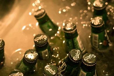 Carlsberg Beer Alcohol Wallpapers