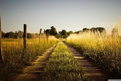 Country Road, Late Summer HD Desktop Wallpapers : High Definition ...