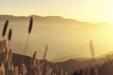 iPhone Backgrounds On Pinterest