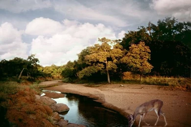 Free Wallpapers From Texas