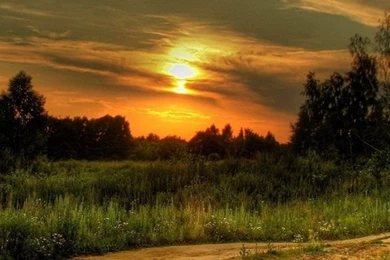 Download Wallpapers 640x960 Decline, Road, Country, Signature ...