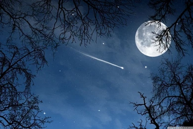 Shooting Star HD Desktop Wallpapers : High Definition : Fullscreen ...