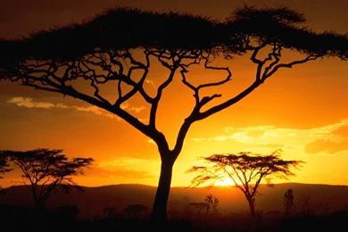 Africa Wallpapers