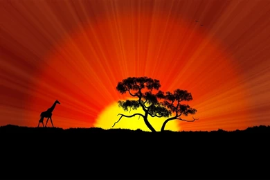 Africa Wallpapers