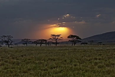 Sunset Kenya Africa Wallpapers