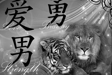 Lion And Tiger Backgrounds By XxSugarSweet247xX On DeviantArt
