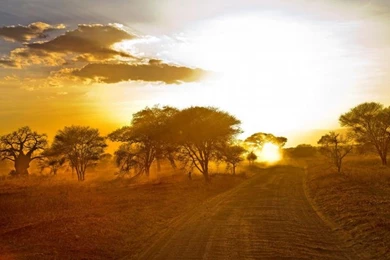 Africa Wallpaper,africa Wallpapers Wallpaper,road Backgrounds ...