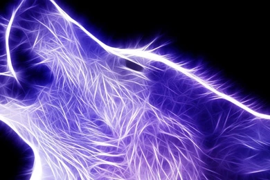 Blue Wolf Wallpapers   Digital Art Wallpapers