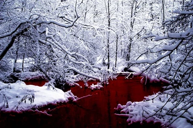 82 Blood HD Wallpapers